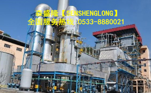 加热系统缓释阻垢剂森盛隆生产厂家 加热系统缓释阻垢剂森盛隆生产厂家