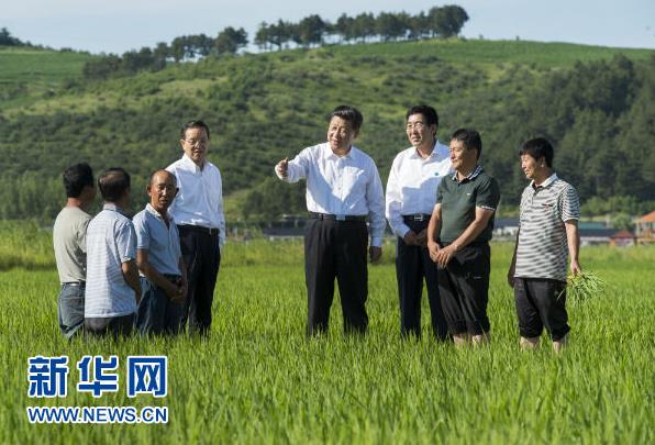 2015年7月16日，习近平在延边州和龙市东城镇光东村稻田同村民和农技人员交流。（新华社记者 谢环驰 摄）